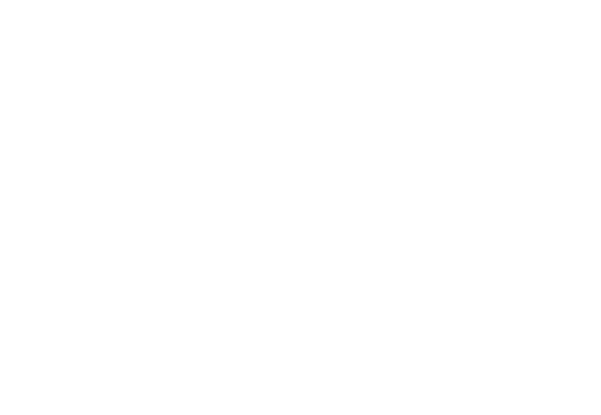 Logo of Villa Irene 